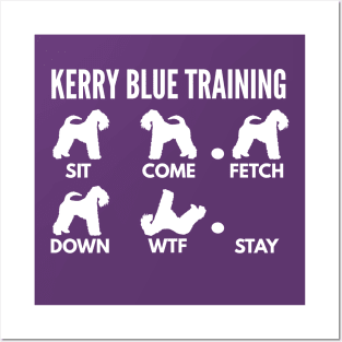 Kerry Blue Training Kerry Blue Dog Tricks Posters and Art